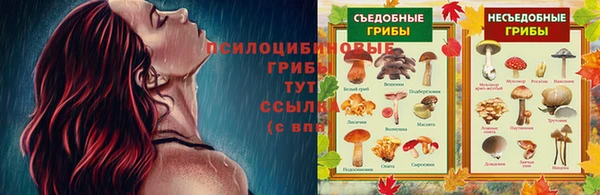 СК Балахна