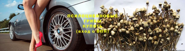 СК Балахна