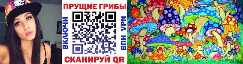 Галлюциногенные грибы мицелий  Козельск 